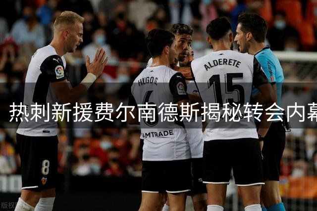 热刺新援费尔南德斯揭秘转会内幕：恩师德泽尔比每日电话关怀如父